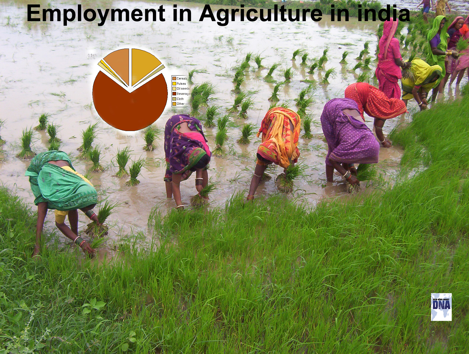 Employment in Agriculture sector in india